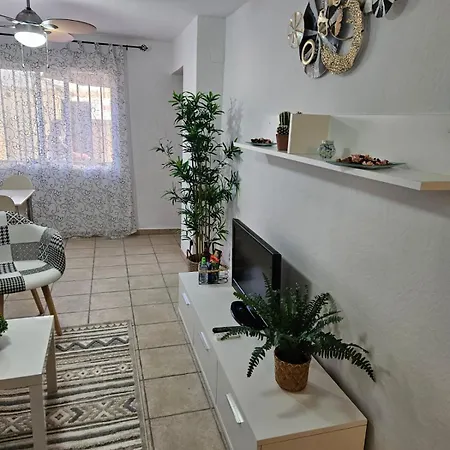 Casa Mexicana 公寓 托雷维耶哈